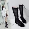 Damen Niedrigabsatz Netzstiefel Frühling und Sommer Neue Dickabsatz Netzstiefel Sexy Vielseitig Große Größe Kerl Coole Stiefel