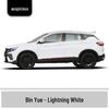 Geely Binyue Touch-Up Paint Pen - Confident White & Sincere Red for Scratch Repair