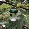 Mosquito Trap Outdoor, Hanging Insect Catcher for Yard Garden Patio, Non-Electric, Pest Control for Deck Camping Porch