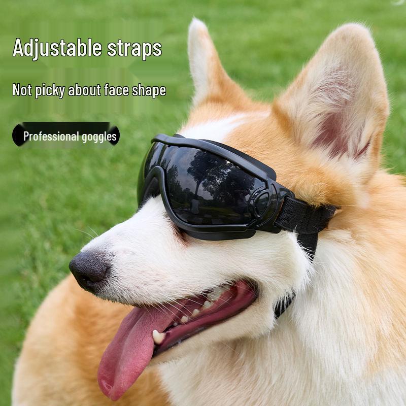 Windproof Puppy Sunglasses: Sun Protection Goggles for Small Dogs