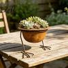 Buiten Plantenbak Metalen Vogelpoot Plantenbak Kom Vintage Kippen Eendenpoot Basis Kleine Vetplanten Moderne Stand Pot Roestvrij Bloempot voor