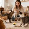 Electric Smart Cat Feeder Toy, Interactive Puzzle Play for Kittens, Training & Exercise Mat, Indoor Outdoor Travel Snack Dispenser