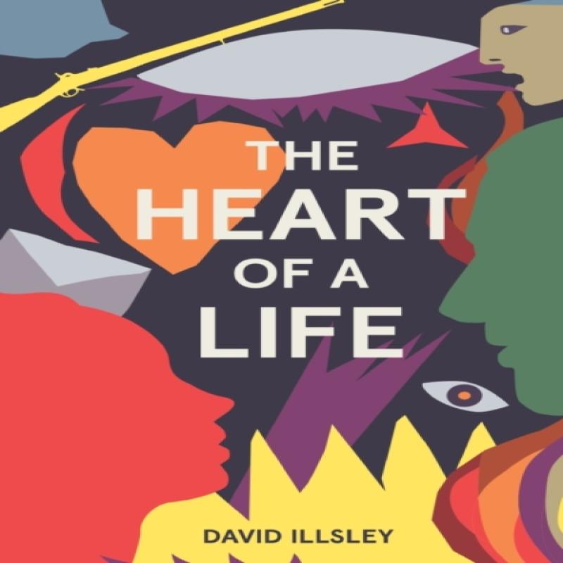The Heart of a Life by David Illsley Paperback Book 9781803781006