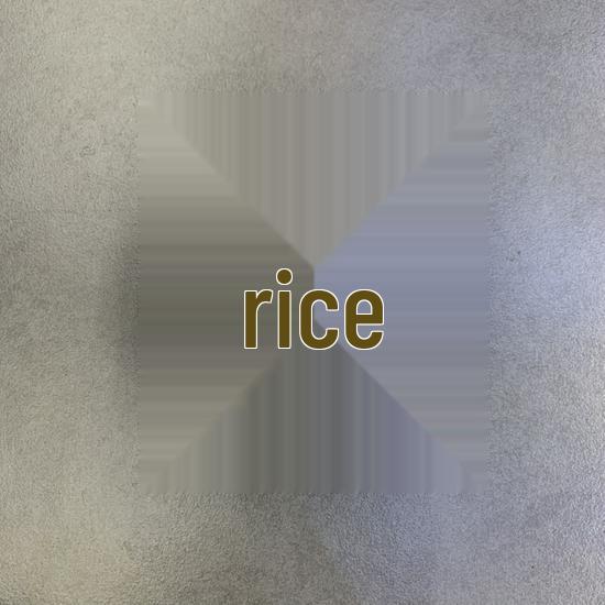 Japanese Ceramic Sushi and Sashimi Snack Plate - Creative Appetizer and Dessert Dish