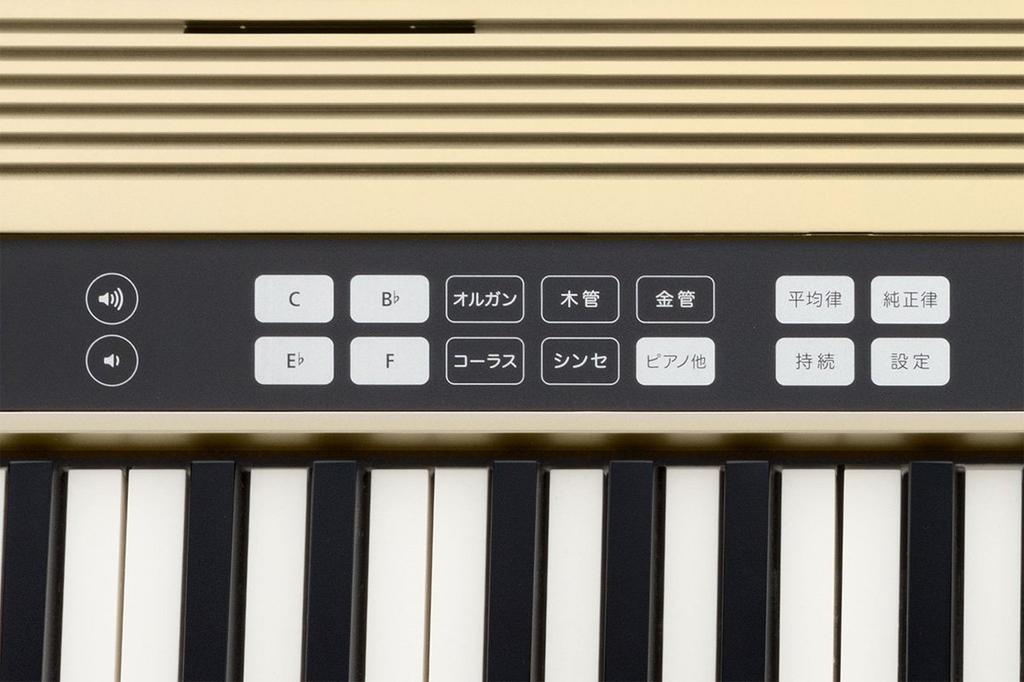 Comprar Roland RolandJUSTY HK-100 Teclado de prática de harmonia e  