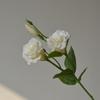 Fiori artificiali 3 teste Platycodon bouquet fiore realistico matrimonio decorazione casa tavolo da pranzo fiore finto oggetti di scena per fotografia