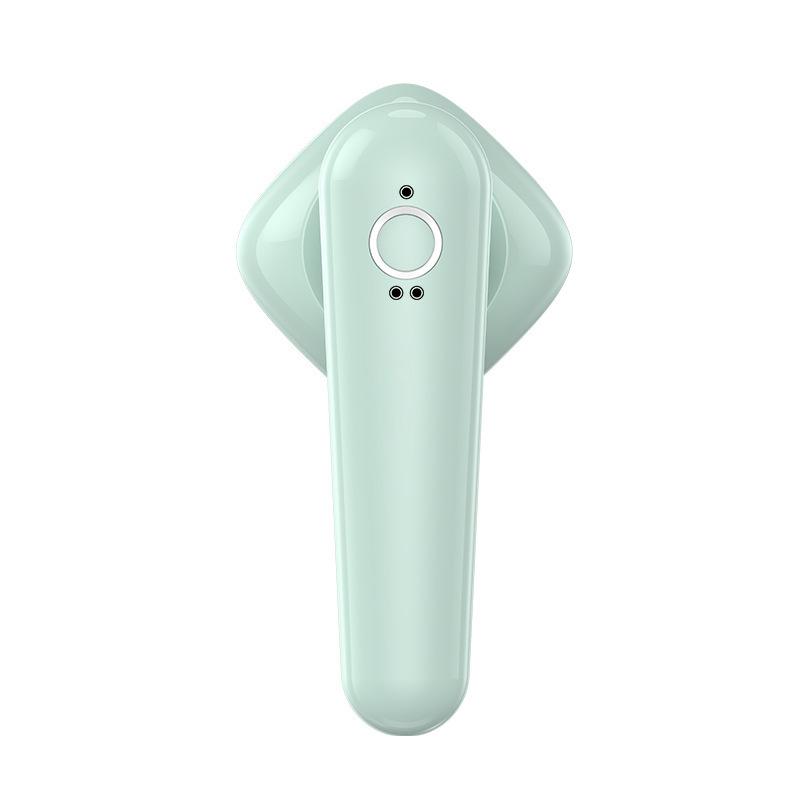 

Compact Handheld Garment Steamer for Home and Travel EU plug with global voltage support