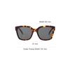 Celine Logo Acetate Irregular Sunglasses Unisex Sunglasses Tortoise CL40222F-5553A