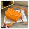 High-end niche design fashion bag for women  new trendy feminine bag  leisure shoulder crossbody