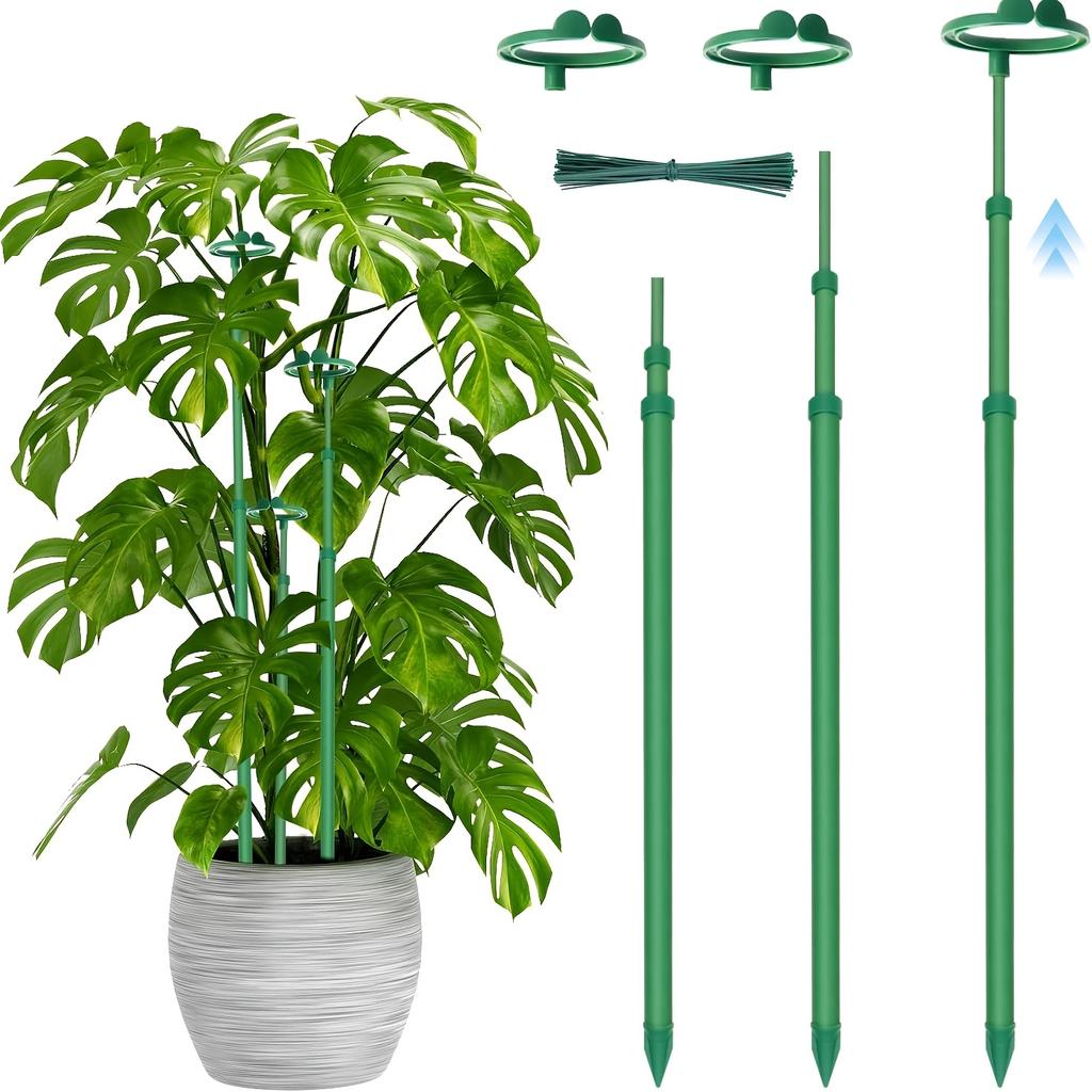 1pc Plant Flower Support Pole Climbing Plant Support Rods With Fixed Buckle For Succulent Butterfly Orchids Garden Accessories