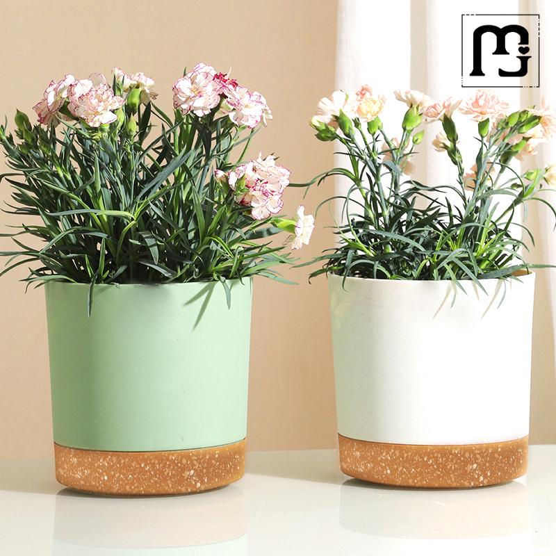 Plastic Flowerpot Flower Plant Pot Balcony Courtyard Potted Plants Bonsai Flowerpot with Drainage Home Garden Tray macetas