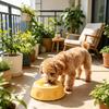Köpek – Köpek Besleme ve Sulama Malzemeleri
