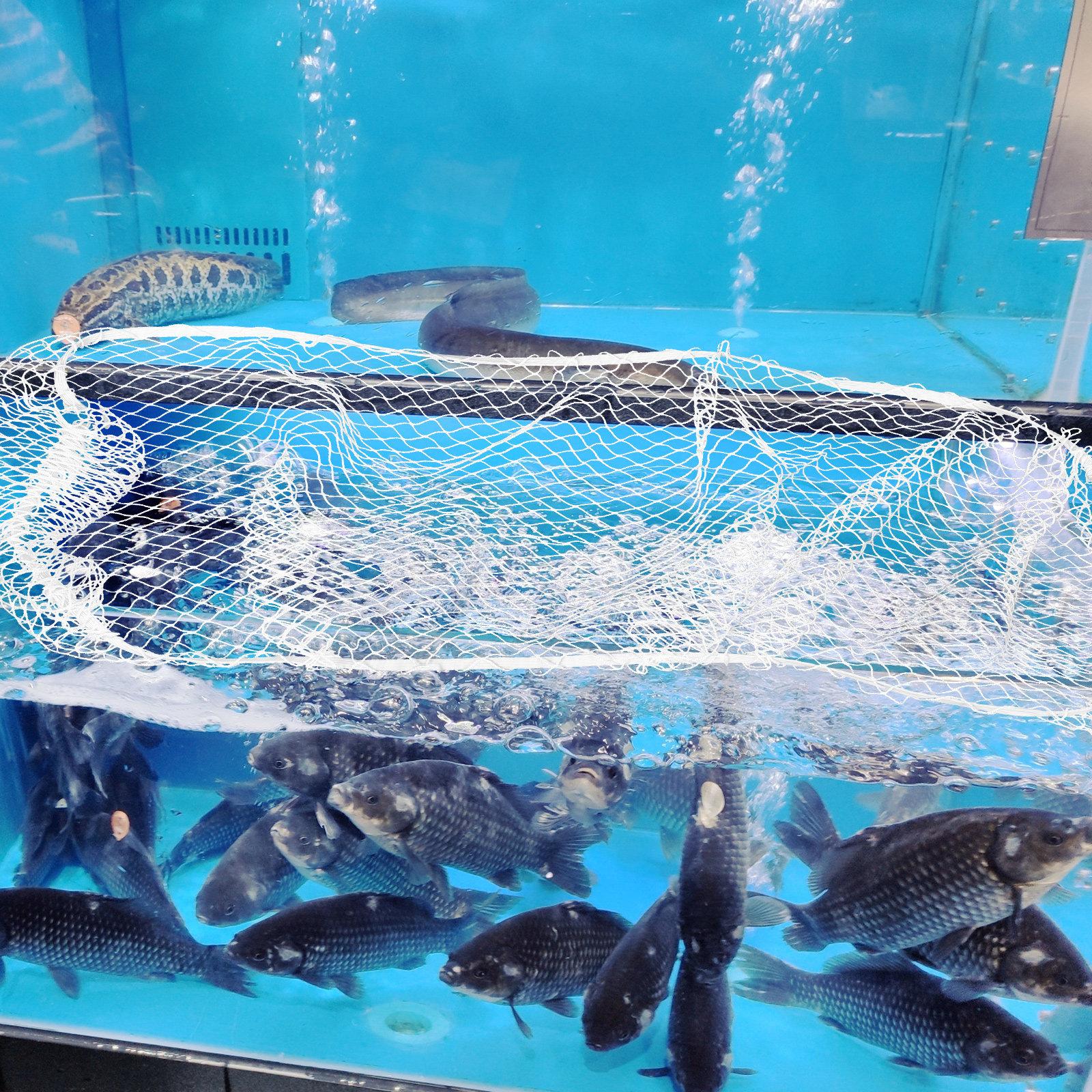 

40x20cm Lightweight Nylon Aquarium Cover Jumping Fish Protection Clear Mesh Screen Breathable Tank Lid for Safe Fish 40X20X0.5CM