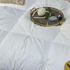 AB Premium 95% White Goose Down Quilt