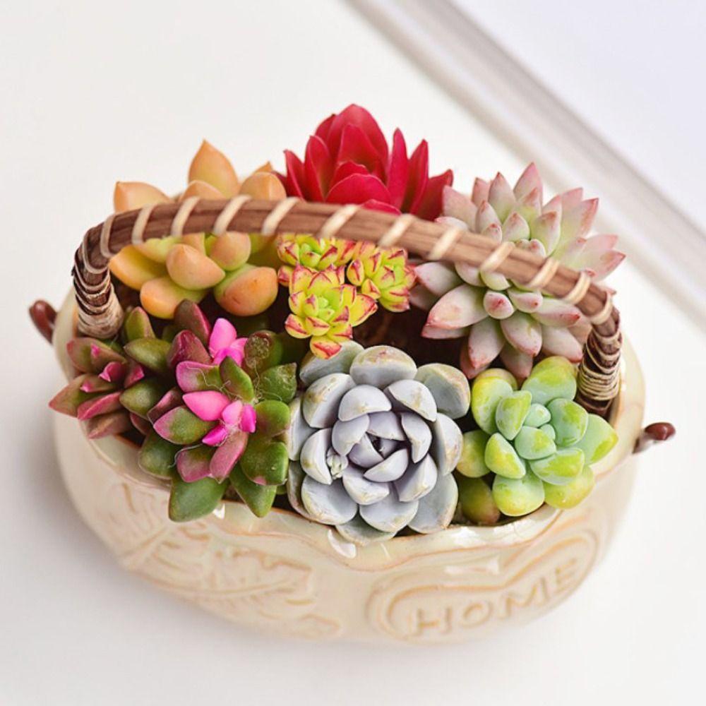 Creative Succulent Planter with Handle Multifunction Resin Flower Pot Corrosion-resistant Decorative Ornament