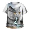 Summer Round Neck 3D Printed Cute Cat Pattern Top Fashionable Casual Short Sleeved Children's Boy and Girl Kids Unisex T-shirts