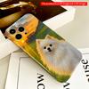 2DFlat Sunset Pomeranian In Pastoral Landscape All Inclusive Film Hard iPhone Case, Compatible with iPhone 18 Pro Max 17 16 15 14 13 12 11