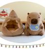 Capybara Ugly-Cute Plush Doll and Pillow Set