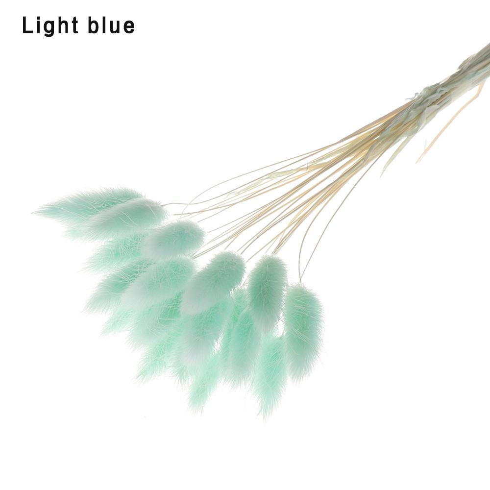 20 ks/svazek Přírodní sušené květiny Králičí ocas Umělé květiny Barevné falešné králičí ocásky Kytice Pastorační styl Foto Pr