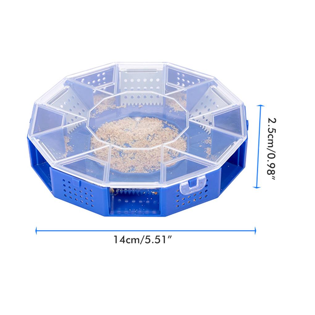 Cockroach Trap Box Insect Catching Case Tool Small Size Rooms Kitchen Cockroaches Catcher Trapping Container Bugs Catch Devices