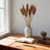 Natural Dried Cattail Rustic Brown Cattail Stems For Vase Filling, DIY Floral Arrangements, Wedding Centerpieces, Home Decor And Crafts