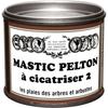 Mastic - PELTON - Cica20 - 195 G - Cicatrise