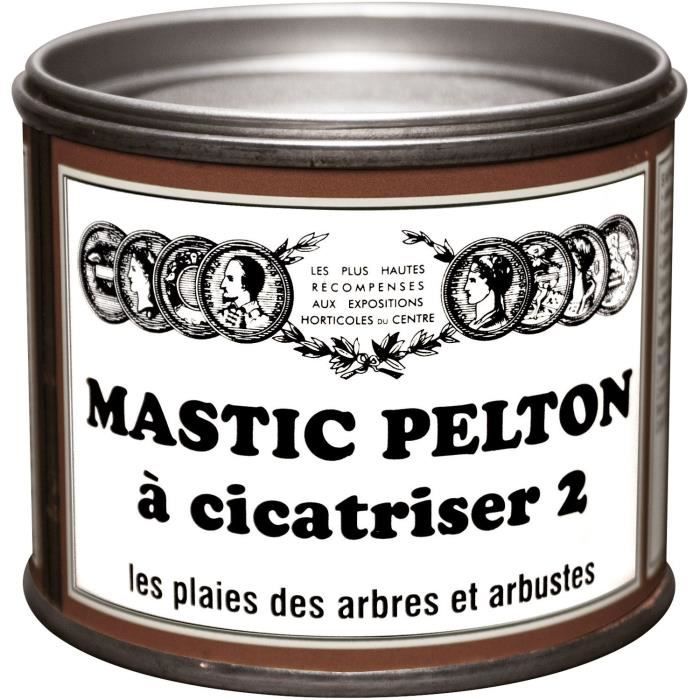 Mastic - PELTON - Cica20 - 195 G - Cicatrise