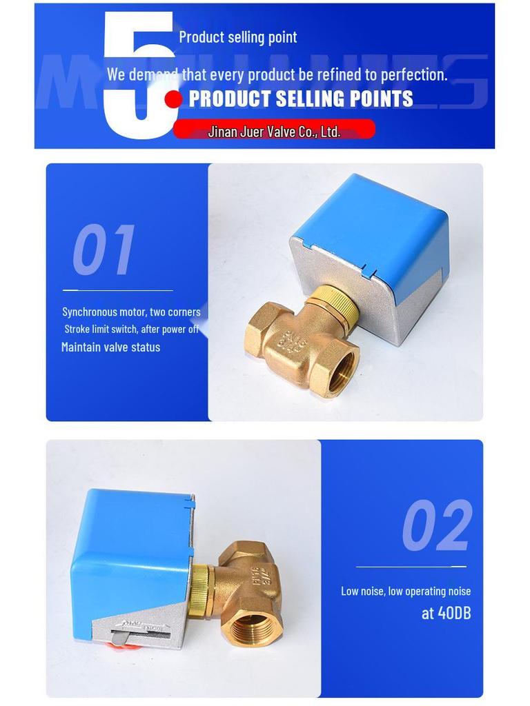 220V DN50 Outdoor Electric Two-Way Regulating Valve