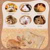 New Wooden Hamsters Foraging 6 Food Holes with Lid Treat Dispenser Interactive Natural Small Animal Feeder Pet Supplies