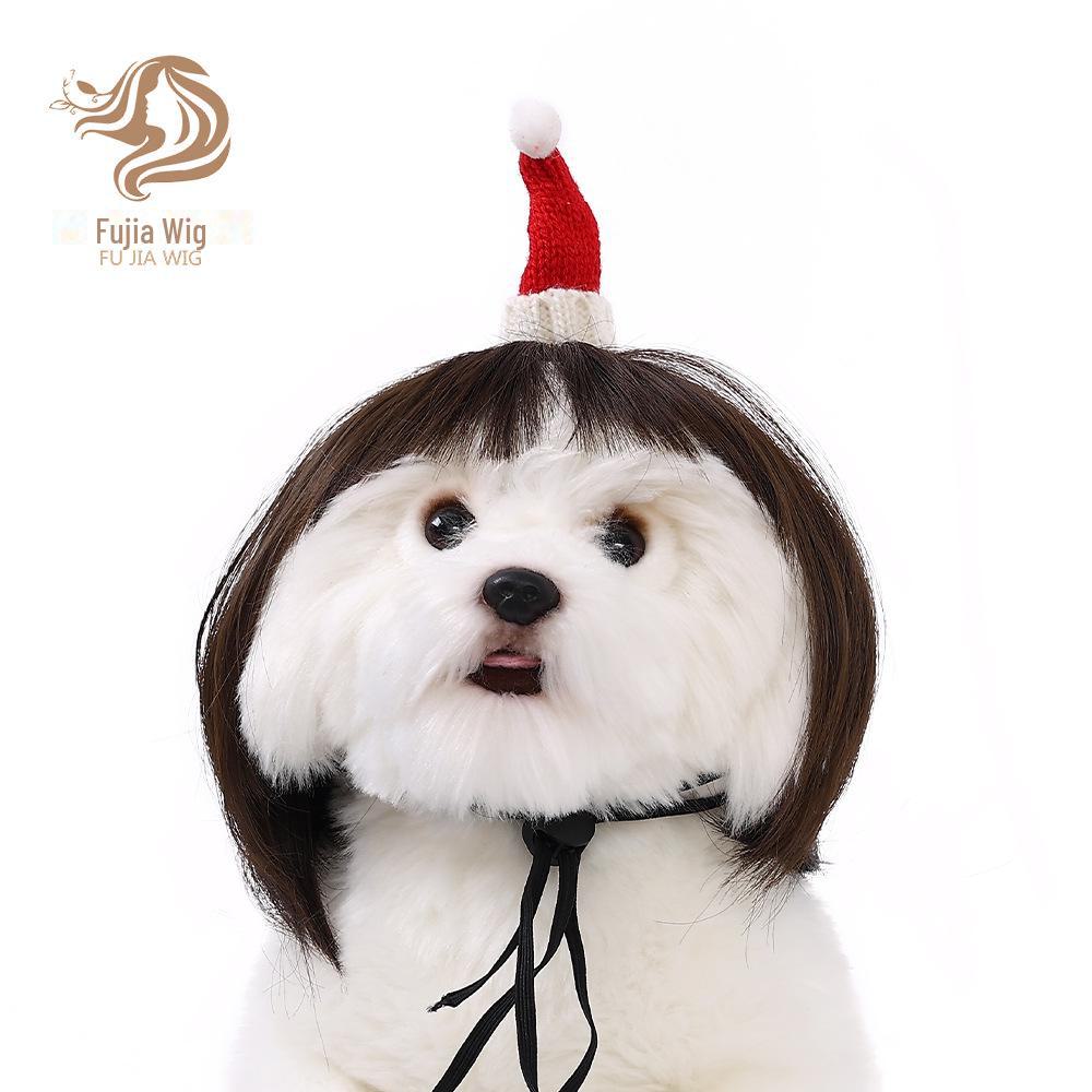 Verschiedene Auswahlmöglichkeiten von Haustierperücken Waren, die Sie suchen, sind alle hier mit 12 verschiedenen Warenkategorien .: Weihnachtszubehör für Katzen und Hunde mit Mini-Hut und Bob-Frisur