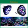 Pești și animale marine – Iluminare acvariu