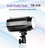 8NICE TB Series Studio Flash for Portrait and Still Life Photography