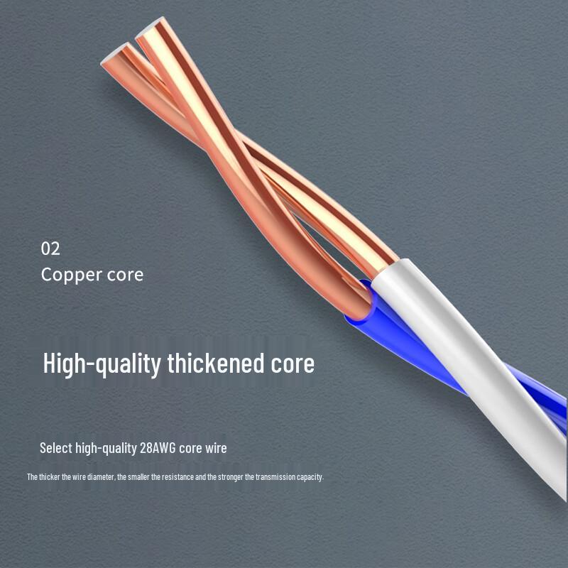 Rongweishing Cat5 100Mbps RJ45 Ethernet Patch Cable