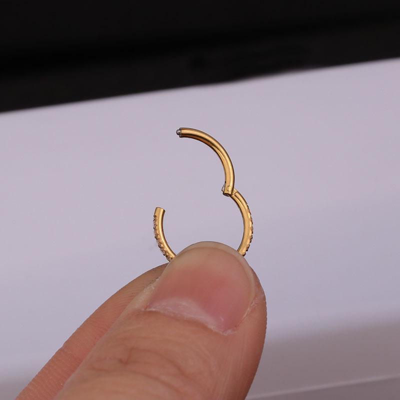 G23 Titan Zirkonia Högkvalitativa Kroppspiercing Smycken: Näspiercing, Stud, Örhänge, Ring, Clicker, Sömlös Ring