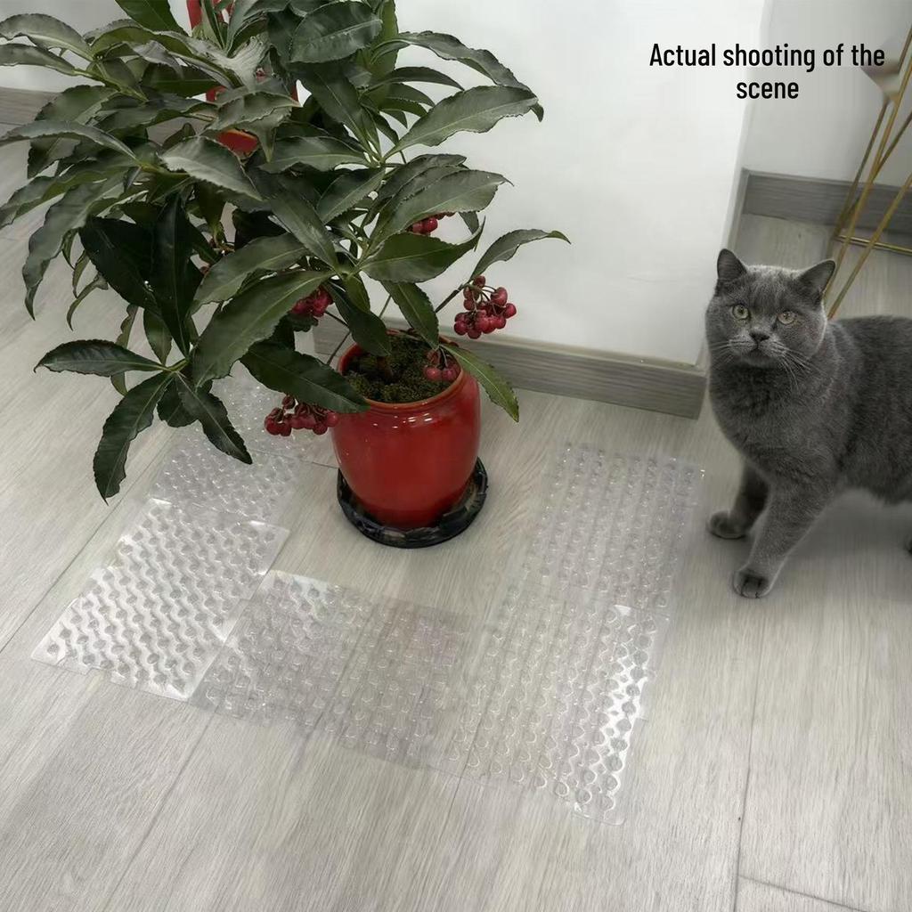 Transparente Kratzmatte und Gartenspießmatte für Katzen - Kratzfest & Vogelschutz für Zuhause & Balkon