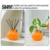 Einzigartiges Tischornament, Orangenförmige Vase, Dekorativer Hydrokultur Kreativer Blumenbehälter, Kleiner Hydrokultur Pothos Behälter Topf für Wohnzimmer
