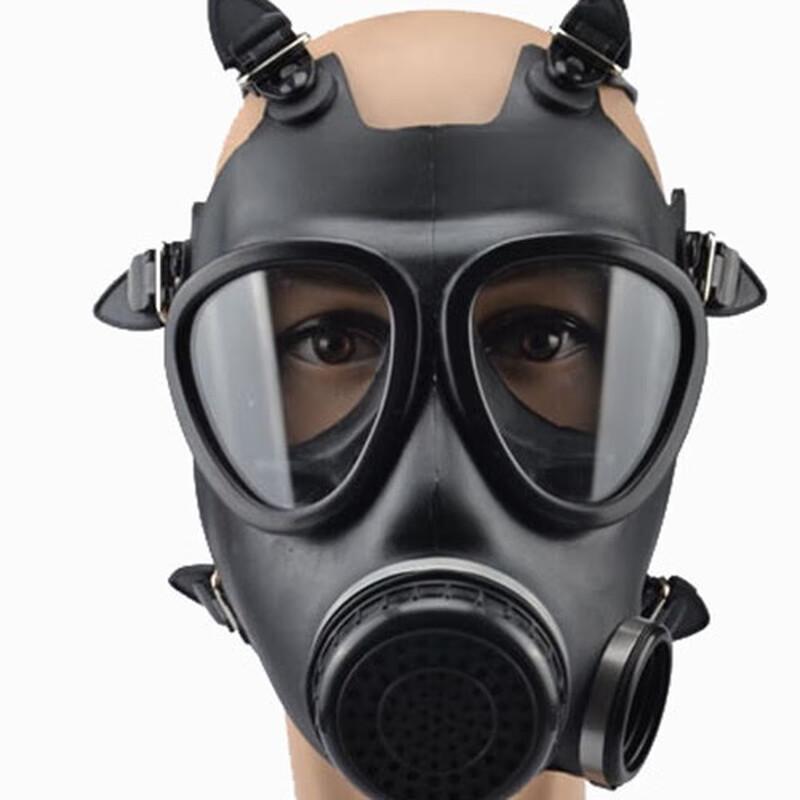 Hulidun Full Face Gas Mask with Active Carbon Filter