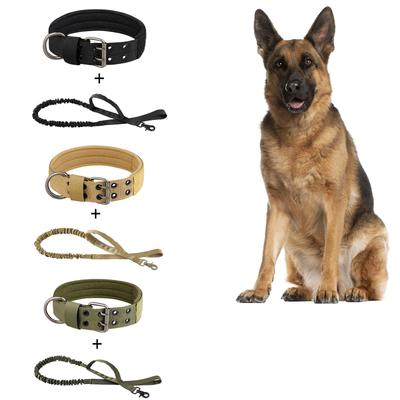 Haustierprodukte Outdoor Hundehalsband Atmungsaktivität Nylonhalsband Mittelgroßer und Großer Hund Trainingshalsband Hundetraktionsseil