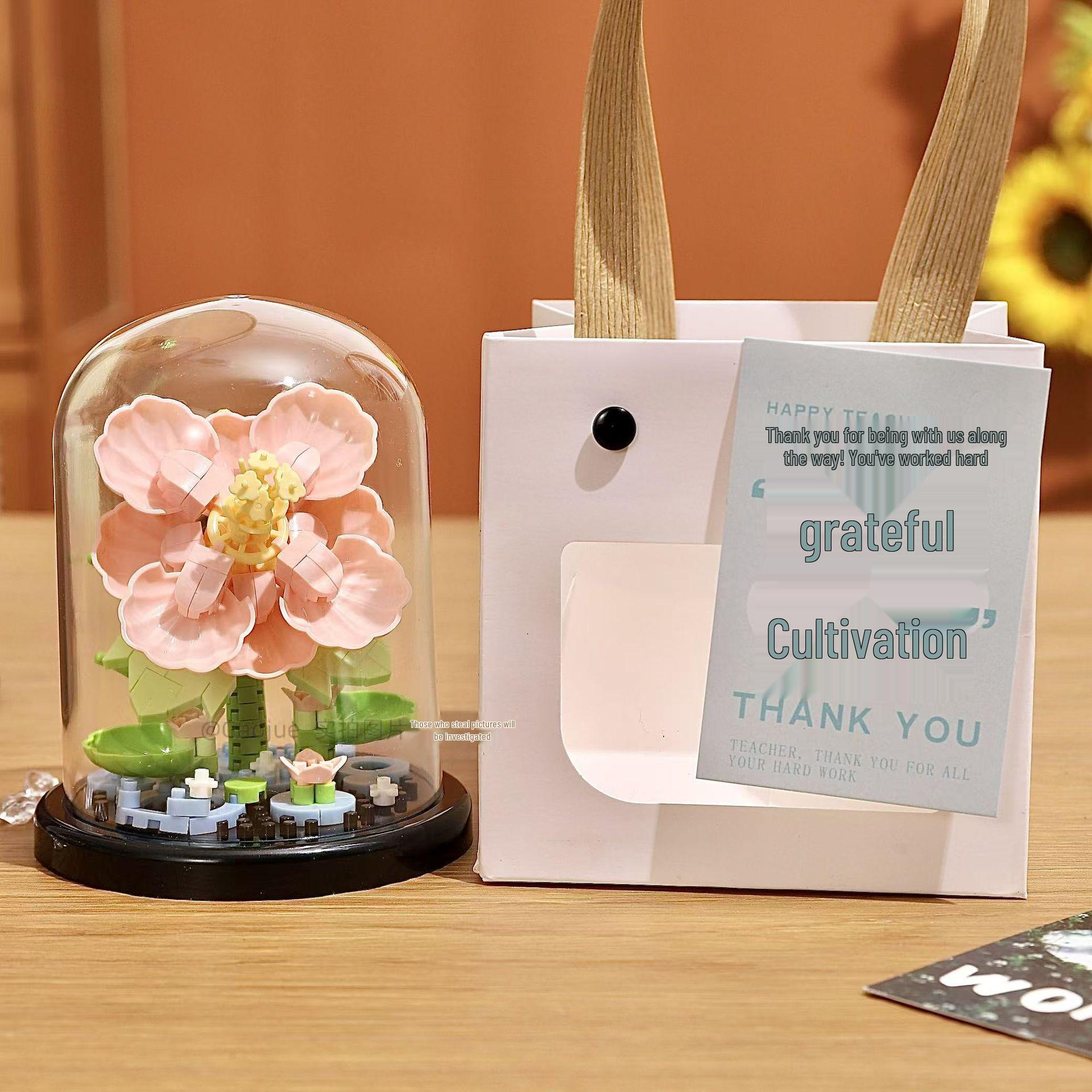 Подарок ко Дню учителя: Совместимый с Lego строительный блок Суккулентный букет и фигурки