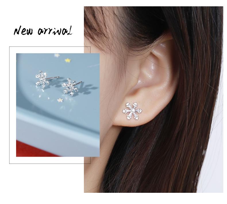 

Banyan Tree S925 Sterling Silver Snowflake Stud Earrings - Ice Crystal Diamond, Niche Design, Elegant Earrings, Perfect Christmas Gift. 925 Sterling Silver