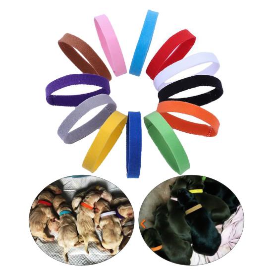 12Pcs/Set Pet Dog Cat Identification Collar Adjustable Id Collar Mark Neck Strap