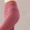 Women's Double - Sided Polar Fleece High - Waist Slimming Autumn Pants Self - Heating Thermal Leggings, Elastic Fleece - Lined Shark Pants Base Layer