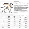 Lovely Dog Coat for Medium Large Dogs Halloween Hoodie for Pet Dog Spring Coat Frog Two-Legged Pullover Clothing