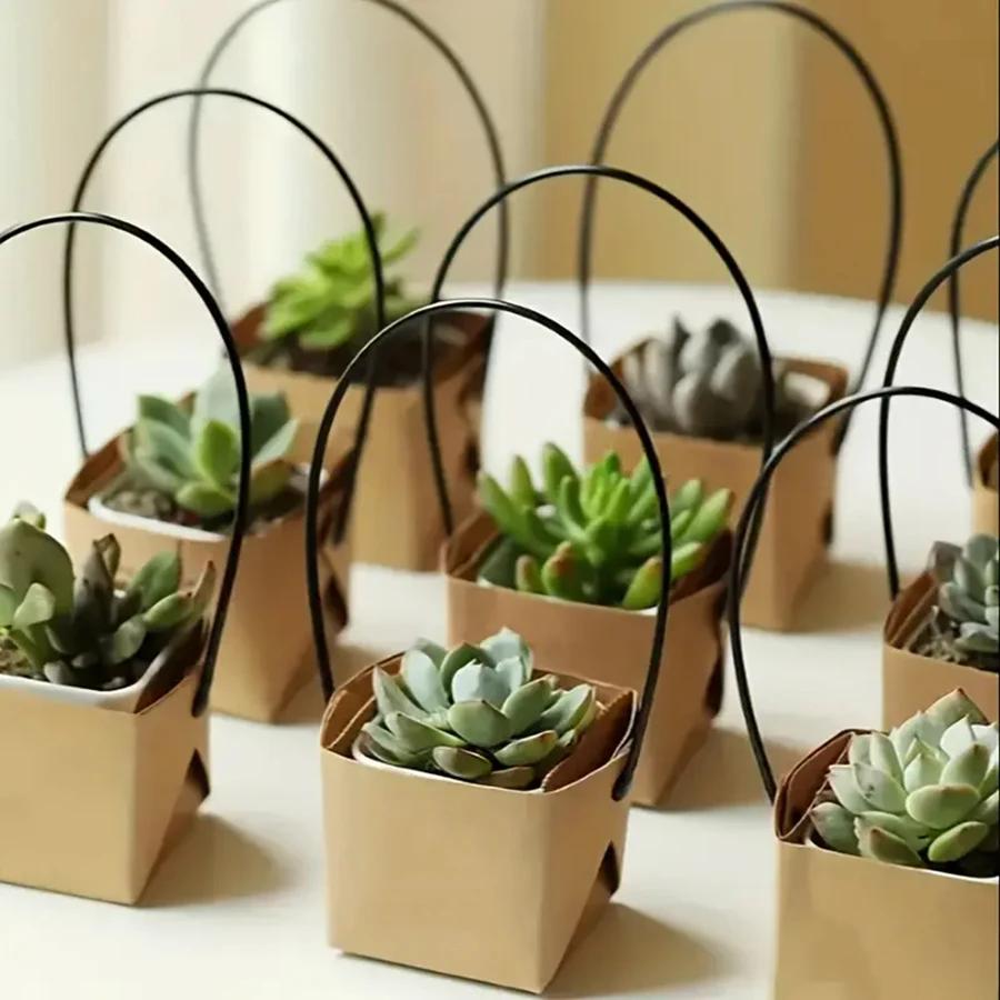 5-20 Stück 6 cm Kraftpapier Sukkulenten Topfpflanzen Box Innen Außen Universell Faltbar Hängende Topfpflanzen Box Gartenwerkzeuge