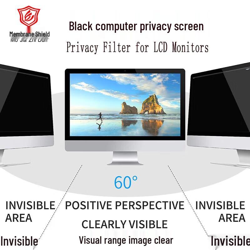 31.5-inch Desktop Monitor Privacy Filter
