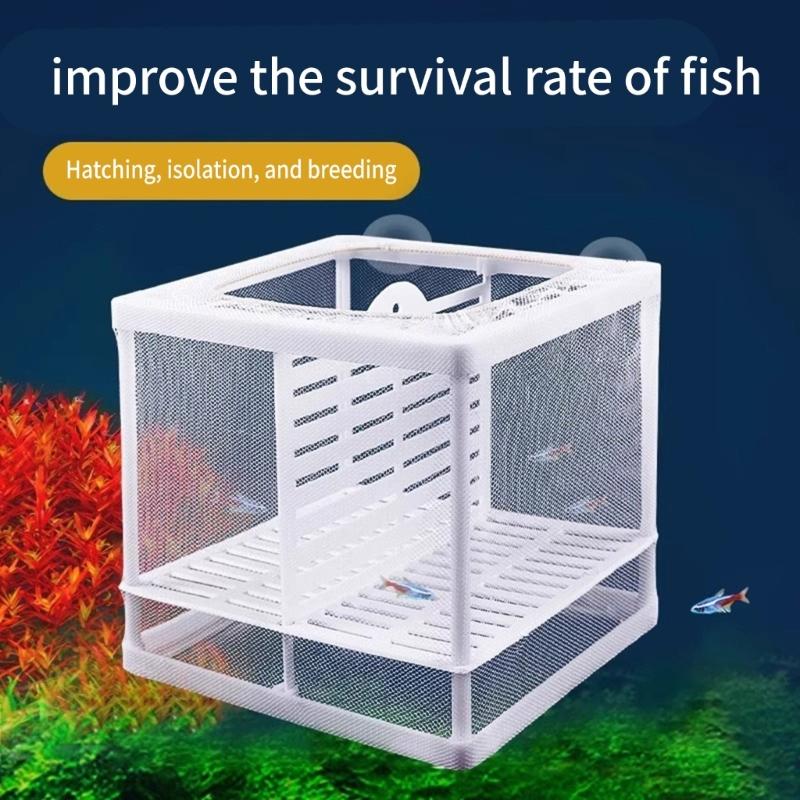 2PCS Aquariums Spawning Box Isolation Container For Fish Breeding Safe Separation Of Aggressive Species And Newborns Fry