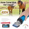 800W 6 Speed Electric Horse Hair Clipper Farm Animal Shearing Trimmer Shaver Cut Machine for Camel Goat Cow Horse Box