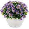 Plante Décorative - IBERGARDEN - Marguerite - Plastique - 14 X 13 X 14 Cm - 12 Unités