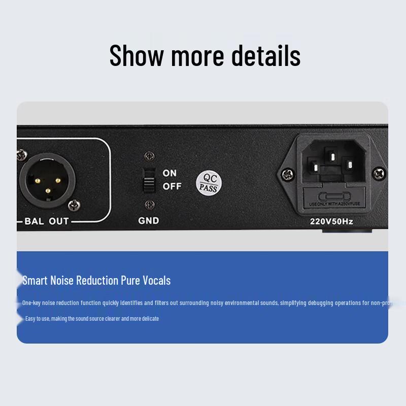 TAKSTAR DF-2 Digital Feedback Suppressor