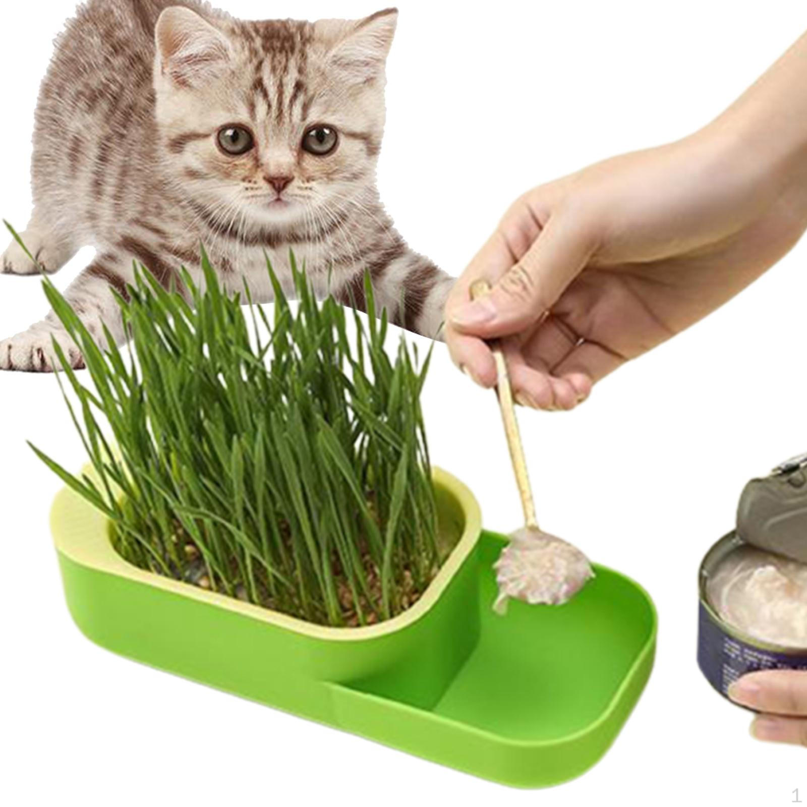 

2 in 1 Hydroponic Cat Grass Box Sprout Tray Container Feeder Growing for зелений